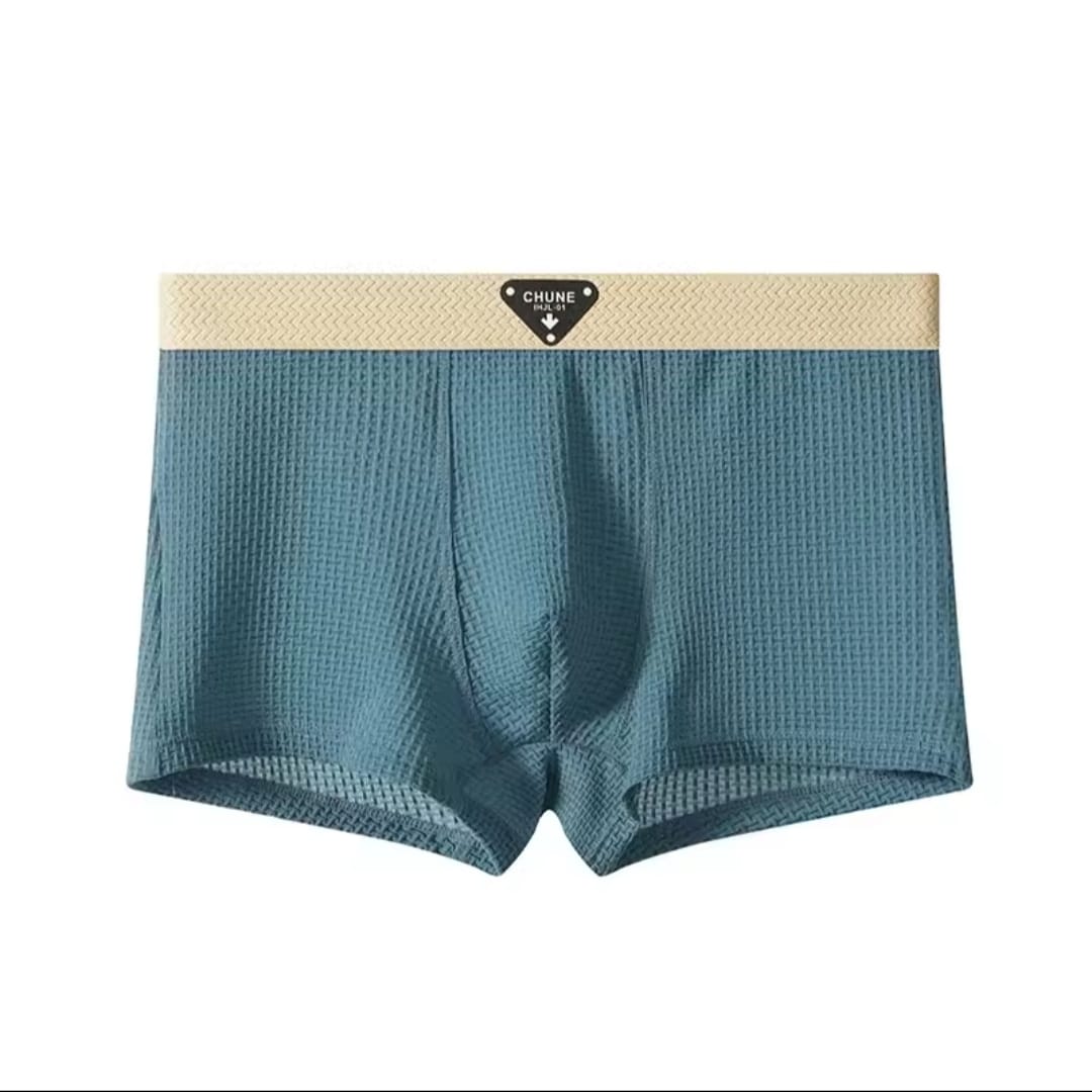 CHUNE PREMIUM BOXER (PASTE)